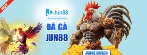 Đá gà Jun88
