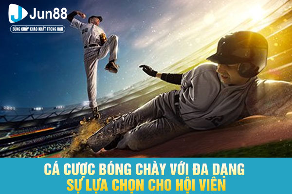 Cá cược bóng chày với đa dạng sự lựa chọn cho hội viên